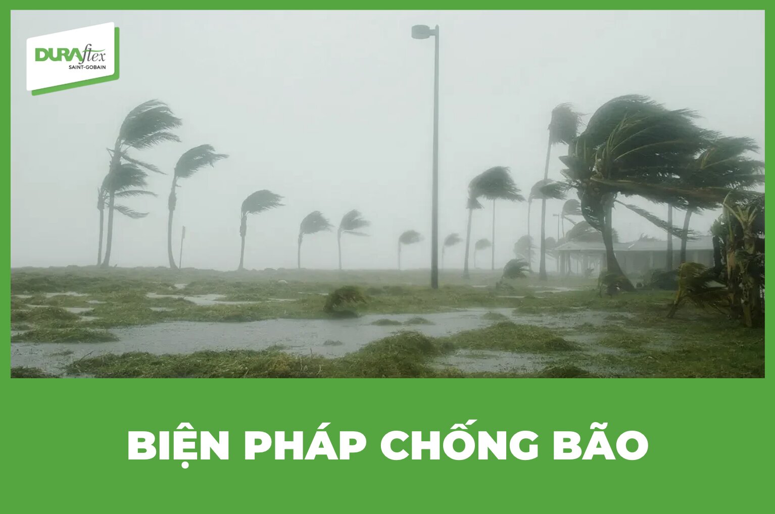 Biện pháp chống bão