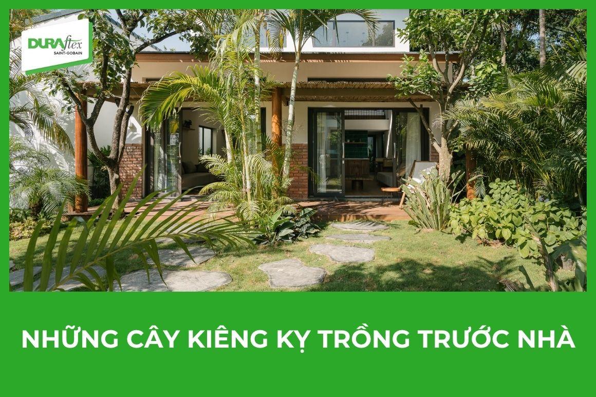 Những cây kiêng kỵ trồng trước nhà