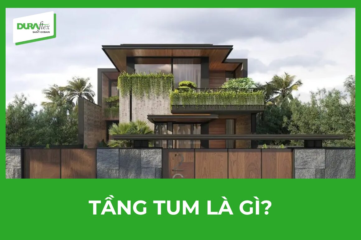 Tầng tum là gì?
