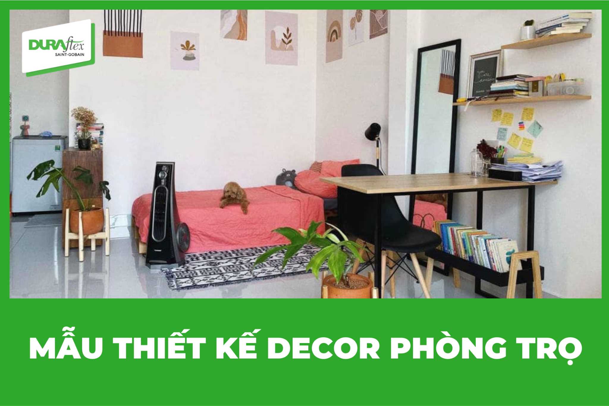 Mẫu thiết kế Decor phòng trọ 