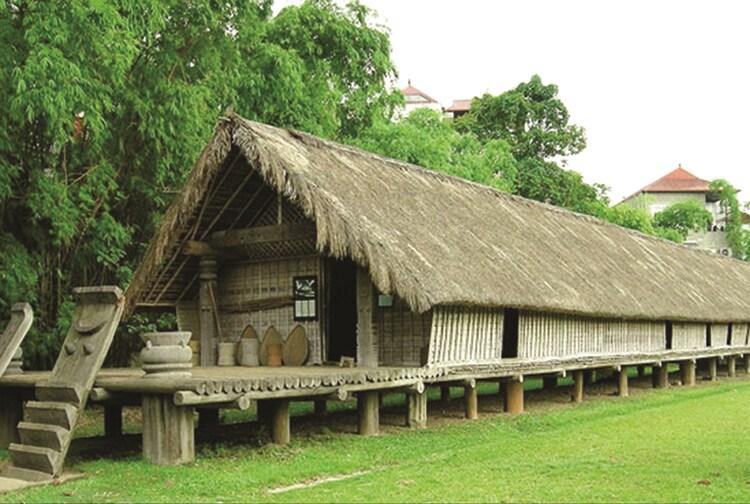 Nhà sàn làm bằng tre nứa thường rất dễ bị mối, mọt tấn công