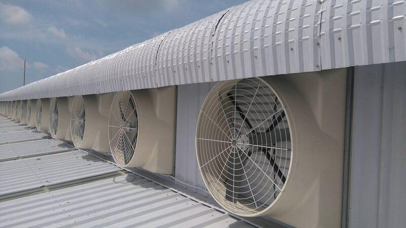 Cách chống nóng mái tôn bằng quạt điện thông gió đơn giản, tiết kiệm chi phí