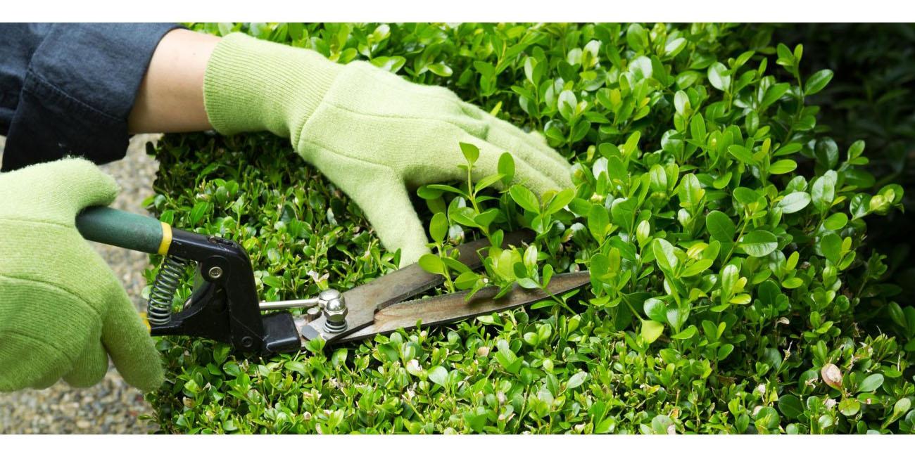 Nên sửa chữa và bảo trì định kỳ để khu vườn của bạn luôn đẹp mắt và tiện ích