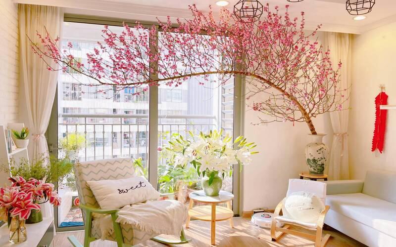 Trang trí Tết cổ truyền với giàn hoa mai, hoa đào ở phòng khách