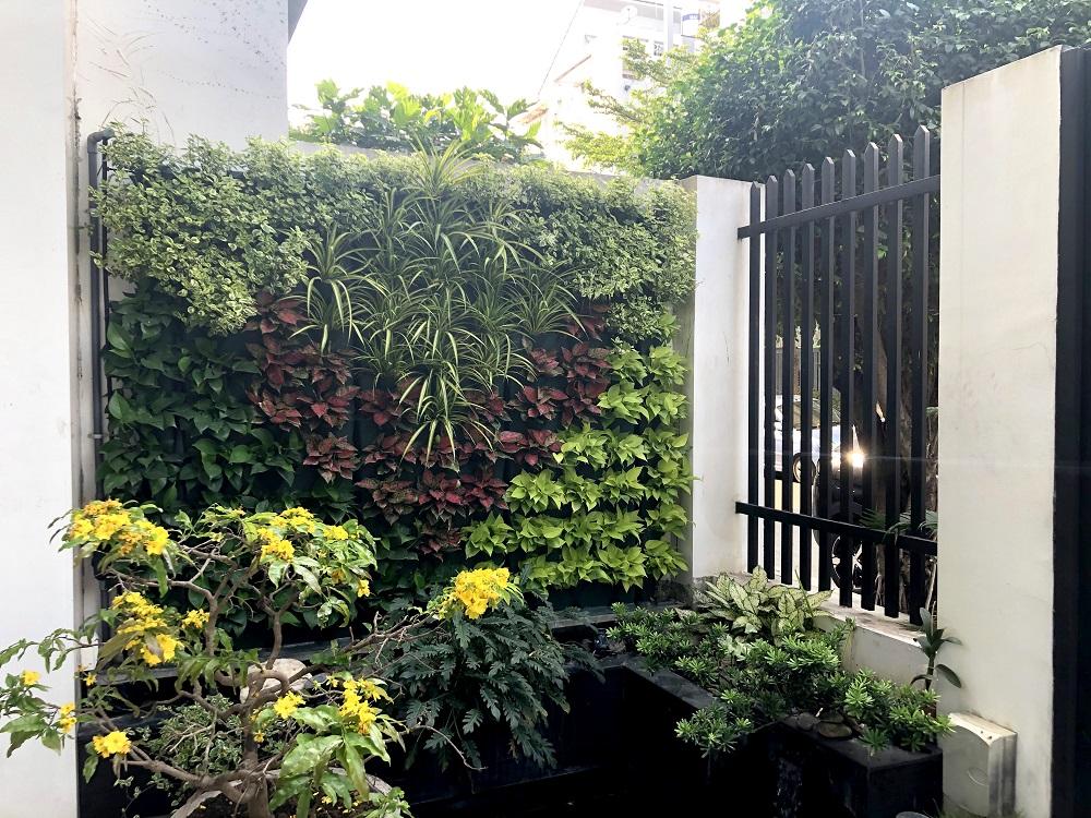 Mẫu thiết kế sân vườn đứng gắn tường đẹp, dễ bảo quản và chăm sóc